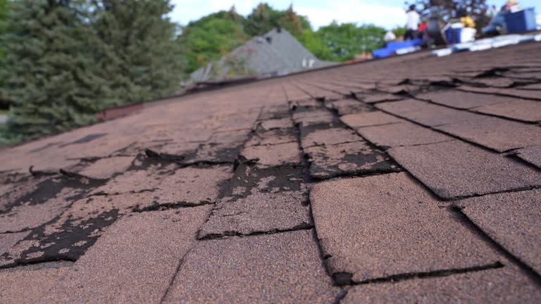 Best Chimney Flashing Repair  in Chebanse, IL
