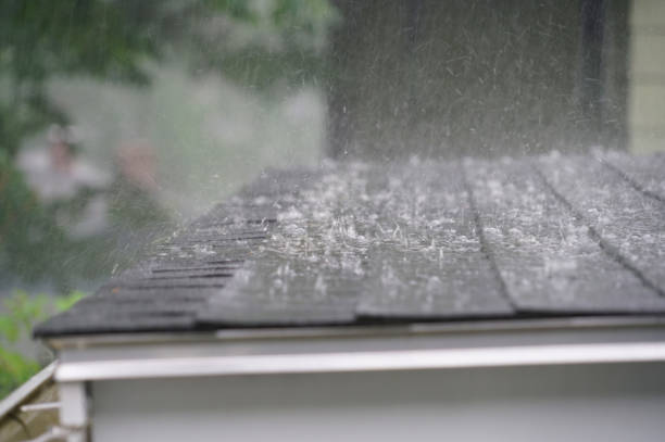 Gutter Replacement in Chebanse, IL
