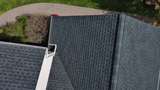 Best Roof Moss and Algae Removal  in Chebanse, IL