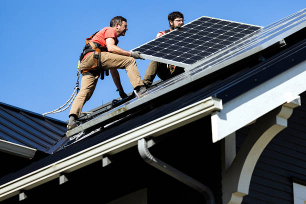 Best Roof Insulation Installation  in Chebanse, IL
