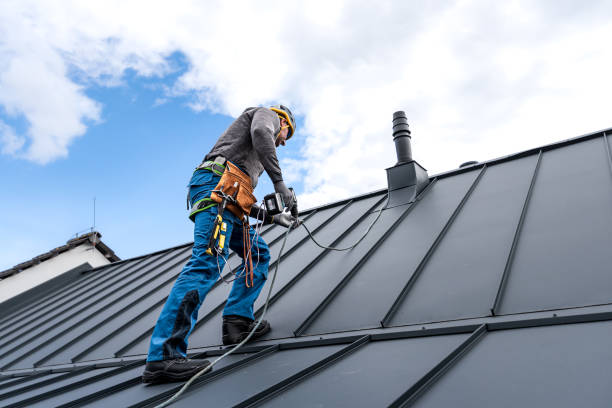 Best Storm Damage Roof Repair  in Chebanse, IL