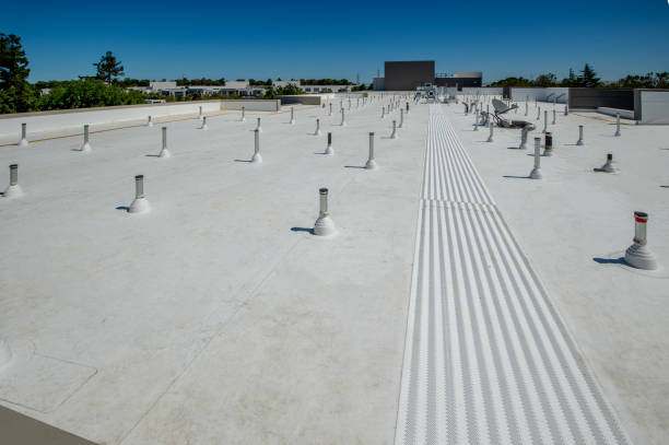 Best Green or Eco-Friendly Roofing Solutions  in Chebanse, IL
